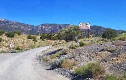 Where to Dig for Fossils in Utah – U Dig Trilobites