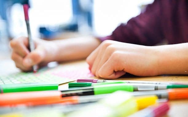 Homeschool Grade 5 Homeschool Grade 5, Homeschool Grade 5-Child Development, Family Homeschooler