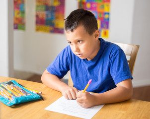 Homeschool Lifestyle Homeschool Lifestyle, Homeschool Lifestyle-What to do if Life Gets in The Way, Family Homeschooler