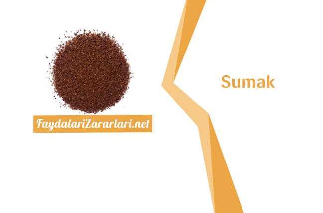 Sumağın Faydası