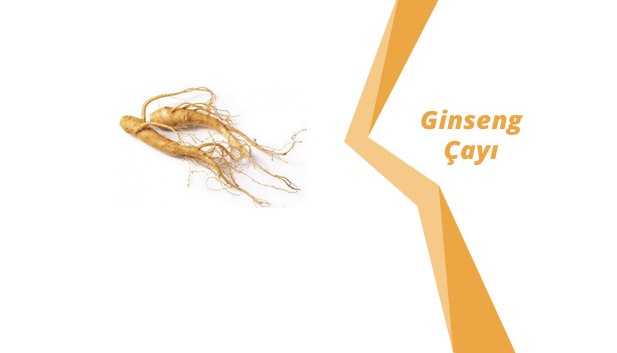 Ginseng Çayının Faydaları
