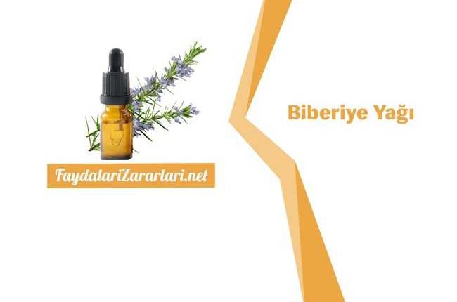 Biberiye Yağı Faydaları