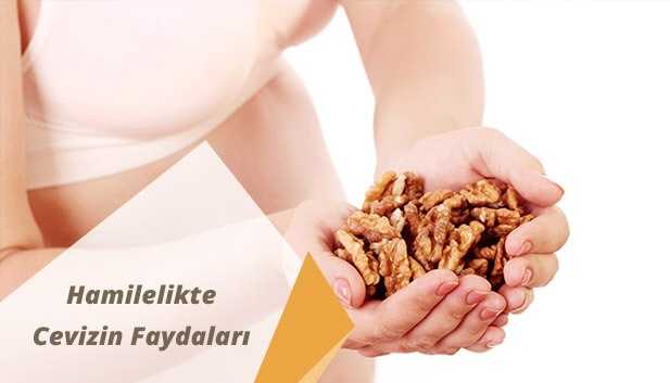 Hamilelikte Ceviz