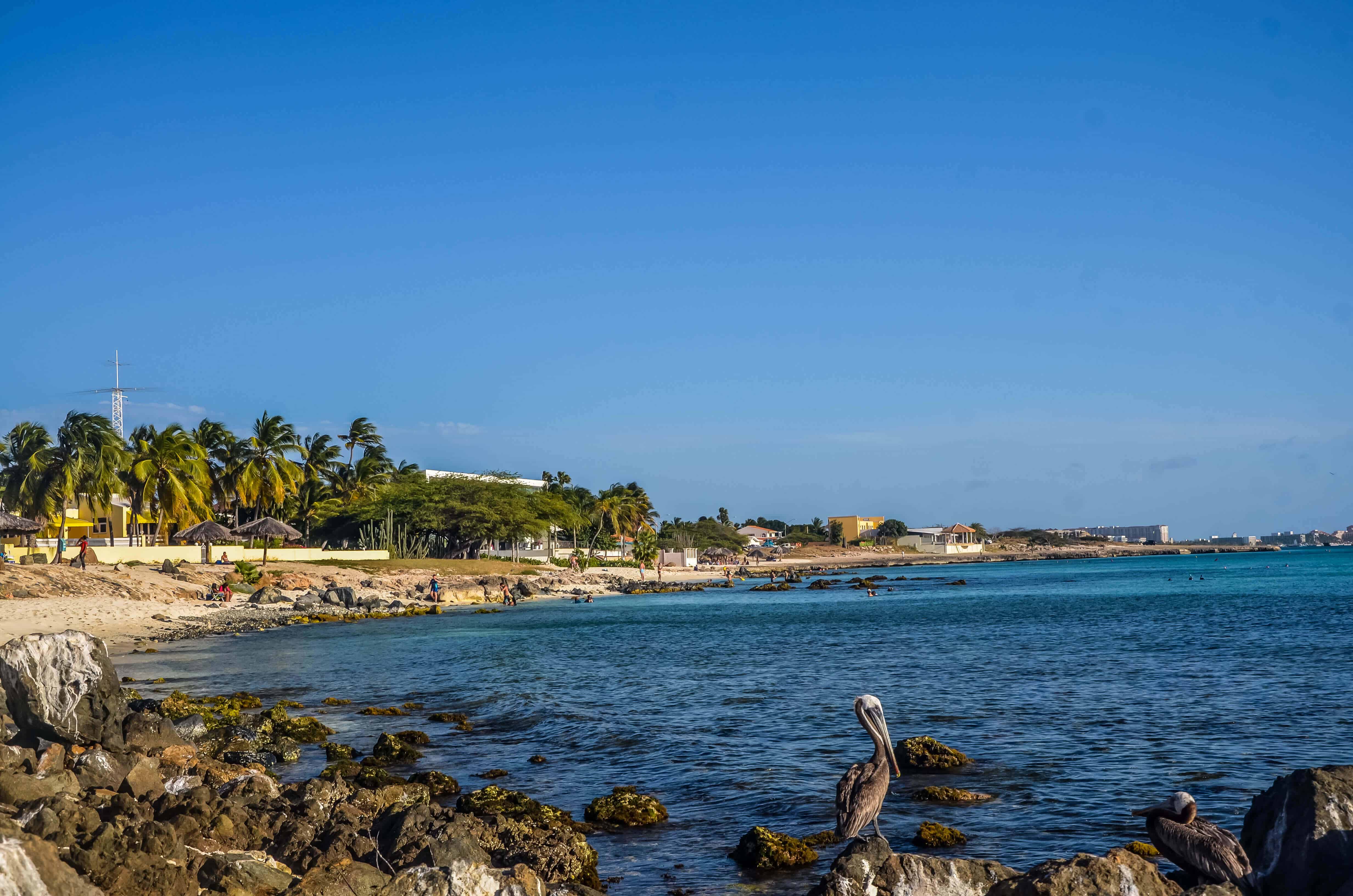 Arashi beach Aruba