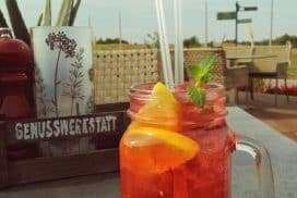 Ferienhaus Fleesensee Genusswerkstatt Limonade