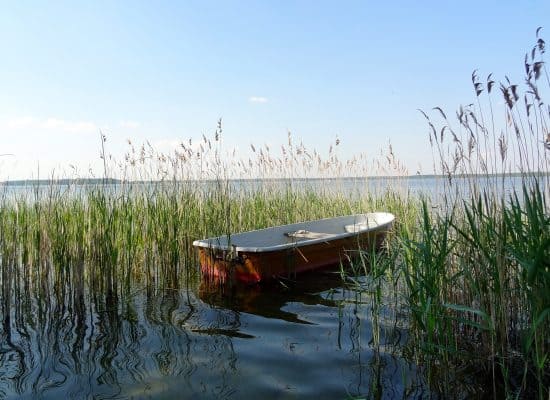 Fleesensee Ferienhaus Boot im See