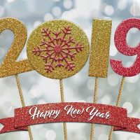 2018 Review – an incredible year! (+2019 goals) π