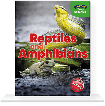 Cover-with-shelf-REPTILES
