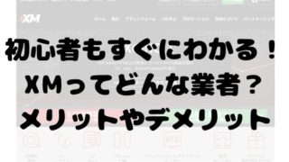 初心者もすぐにわかる!XMってどんな業者?メリットやデメリット