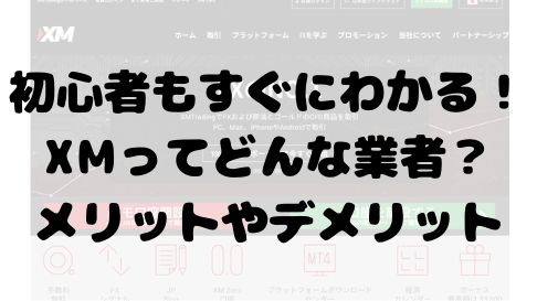 初心者もすぐにわかる!XMってどんな業者?メリットやデメリット