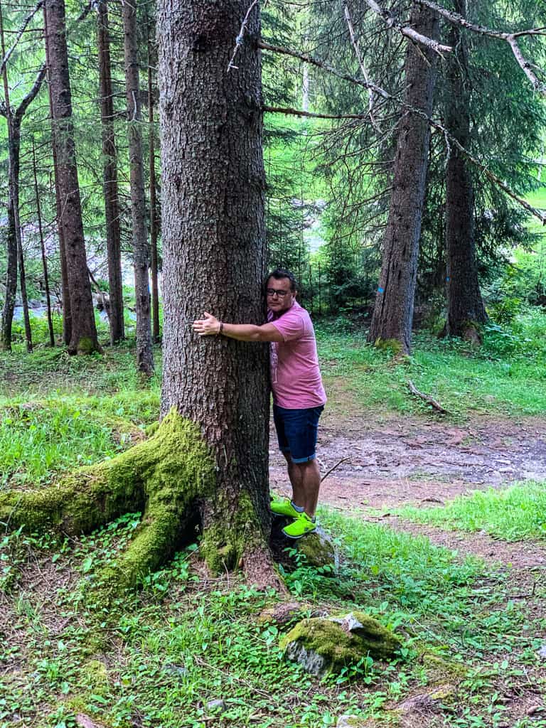 Tree Hugging in Val di Rabbi, Trentino