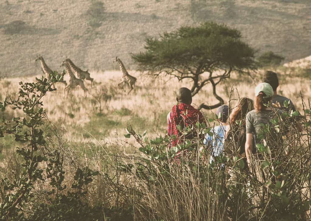 Using an ethical tour company.