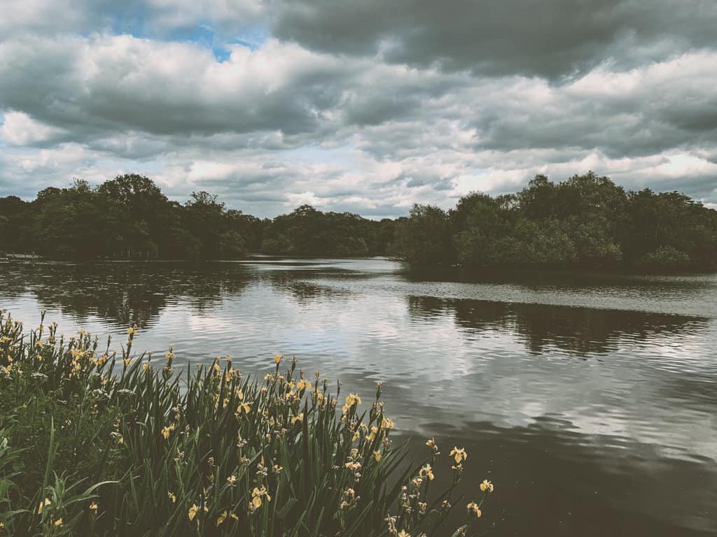 Fishing in Epping Forest