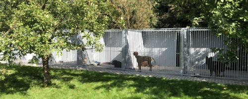 6 Fach Kunststoff Hundezwingeranlage 6 fach Kunststoffhundezwingeranlage
