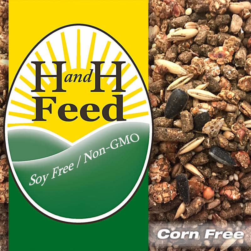 SALE!!! Amazingly Tasty! Old Fashion Non-GMO Layer 50 Pounds FREE SHIPPING!!