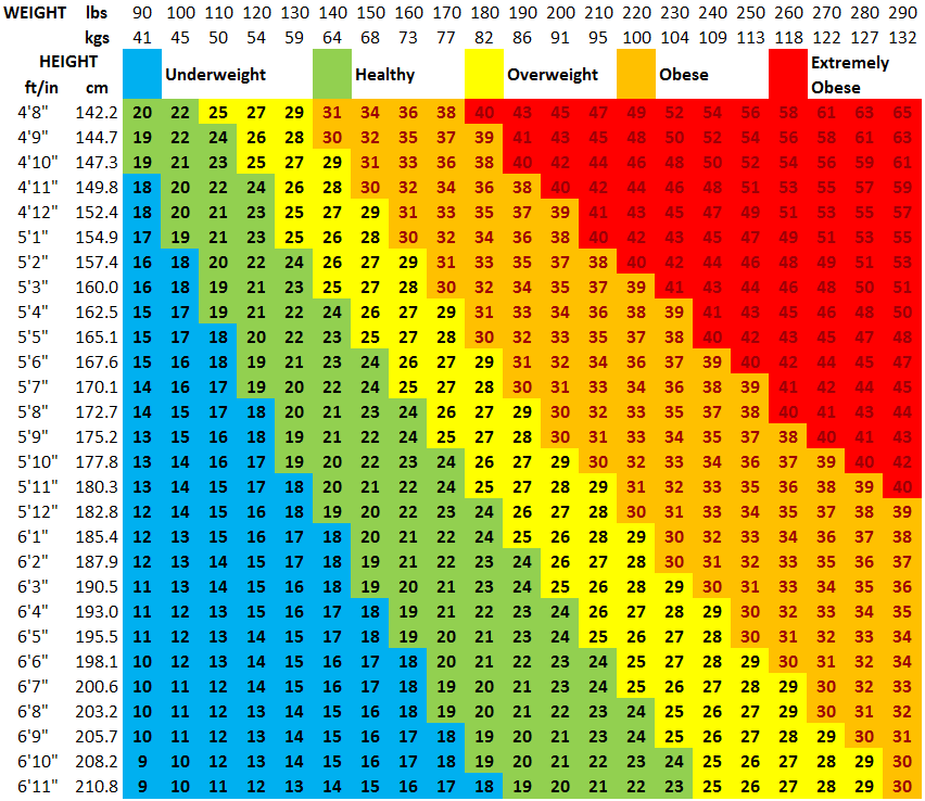 best diet to lose weight fast bmi chart