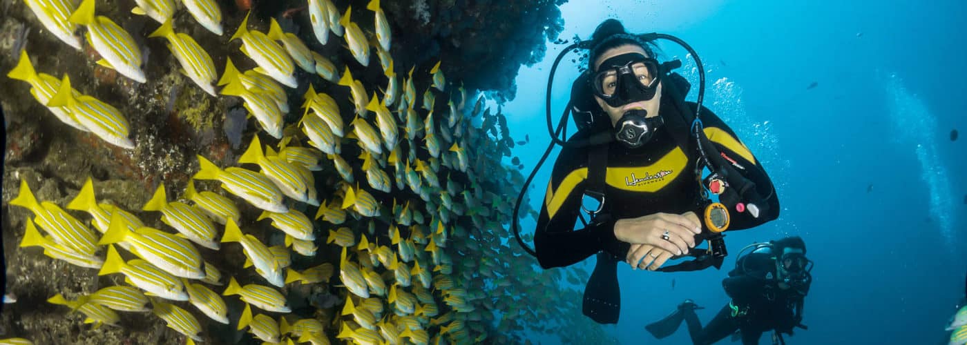 Scuba & Snorkeling Honeymoon Scuba & Snorkeling Honeymoon