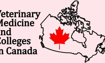 Veterinary Medicine and Colleges in Canada