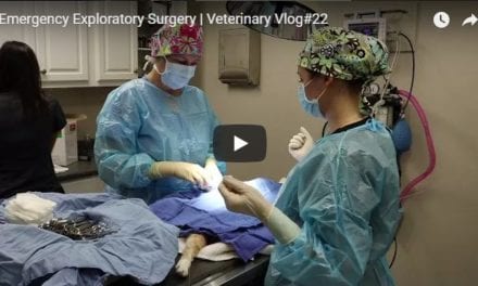 Emergency Exploratory Surgery- Vlog by Victoria Birch