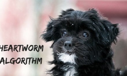 Heartworm algorithm