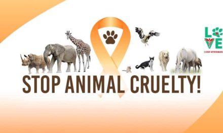 Animal Cruelty Prevention Month – April 2020