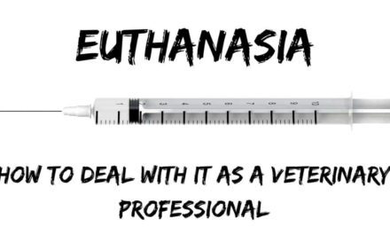 Euthanasia – How to deal with it as a veterinary professional