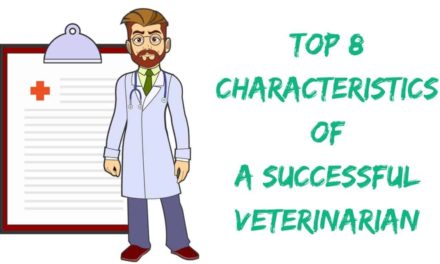 Top 8 Characteristics of a Successful Veterinarian