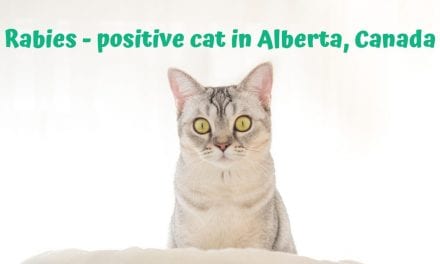 Rabies – positive cat in Alberta, Canada