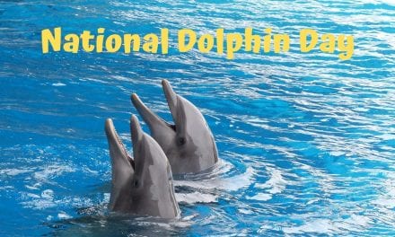 National Dolphin Day – April 14