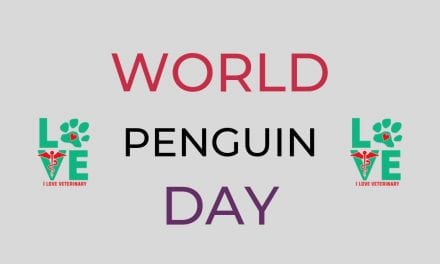World Penguin Day – April 25