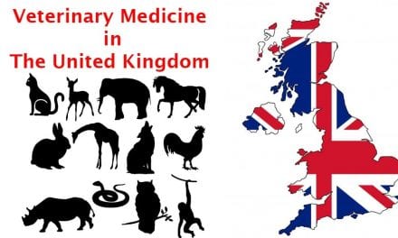 Veterinary Medicine in the United Kingdom