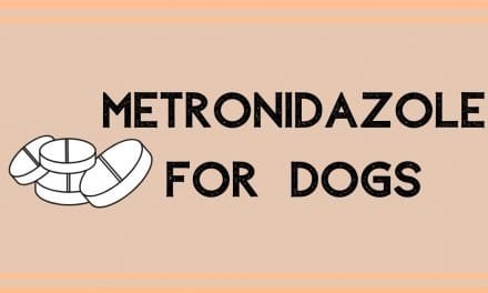 Metronidazole For Dogs: Uses, Dosage, And Side Effects