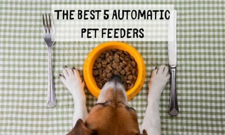 The Best 5 Automatic Pet Feeders
