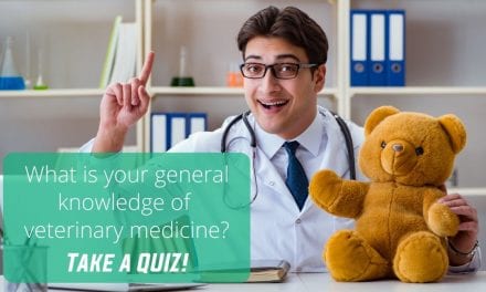 What is your general knowledge of veterinary medicine?