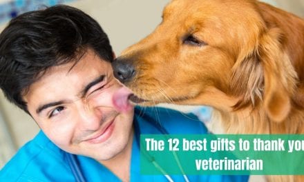 The 12 best gifts to thank your veterinarian