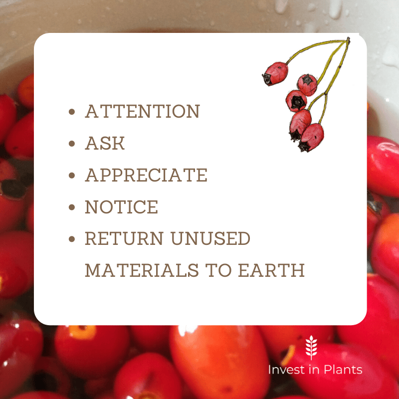 Give back to plants