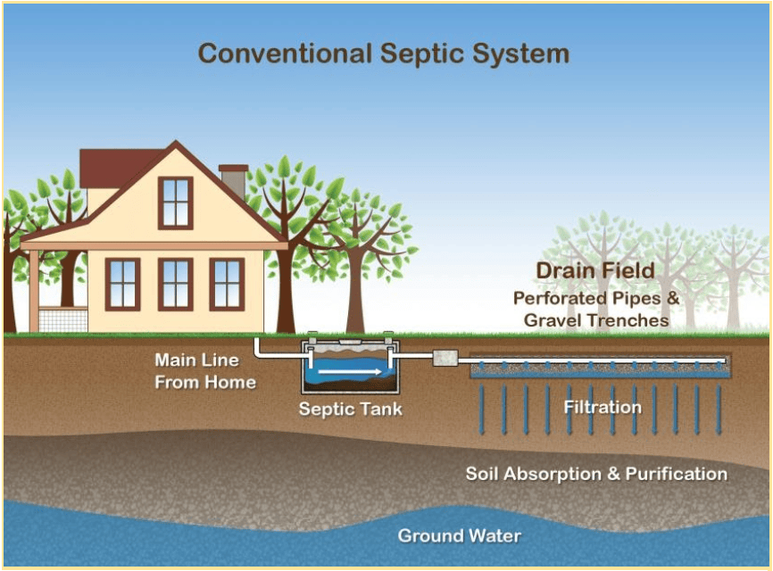 Septic system graphic Graphic demonstrating the conventional septic system process