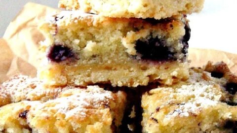 Blueberry Coconut Bars. Delicious layers of blueberry and coconut cake on a shortbread cookie base. Easy to make and perfect for snacks or dessert