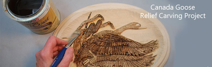 Wood Carving Free Projects, Lora Irish Books