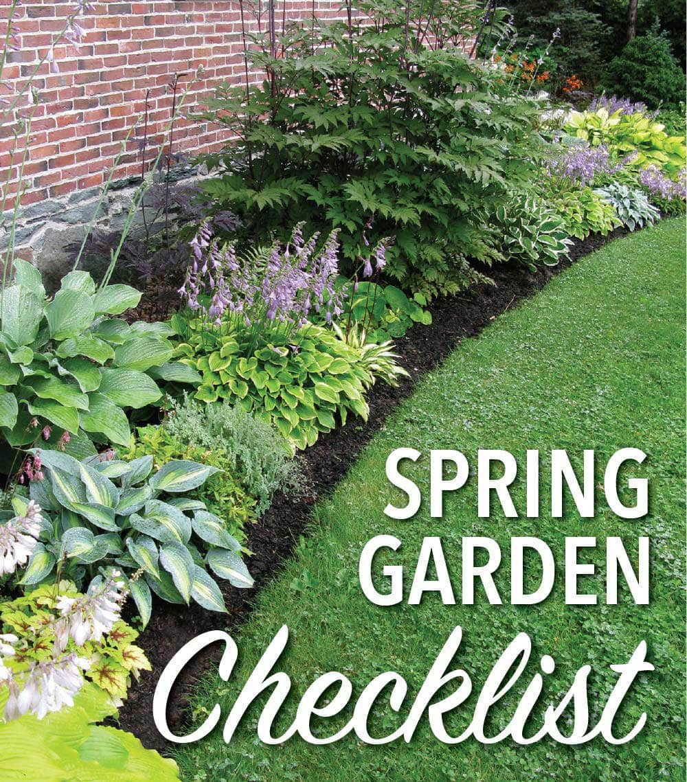 Mack Land LLC - Garden Checklist – June
