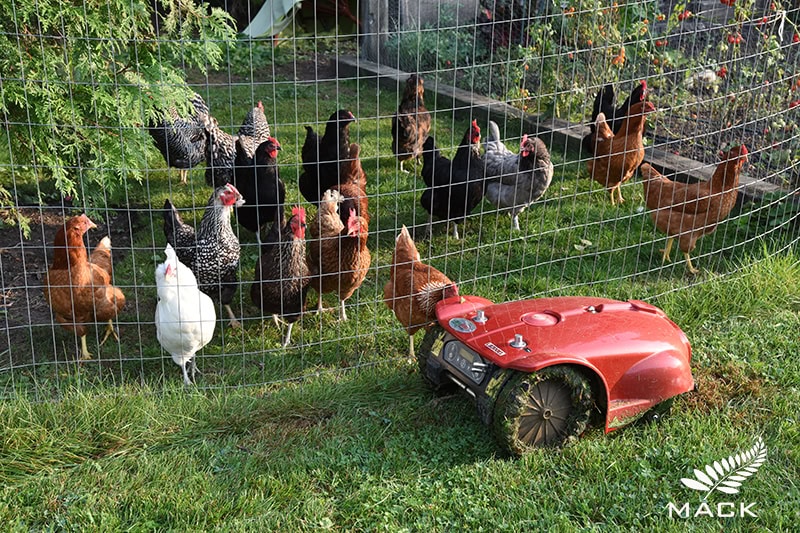 Mack Land LLC - Robot Mowers in the Landscape