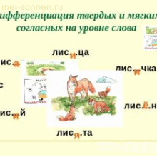 Конспект группового логопедического “Твердые и мягкие согласные фонемы и их дифференциация”