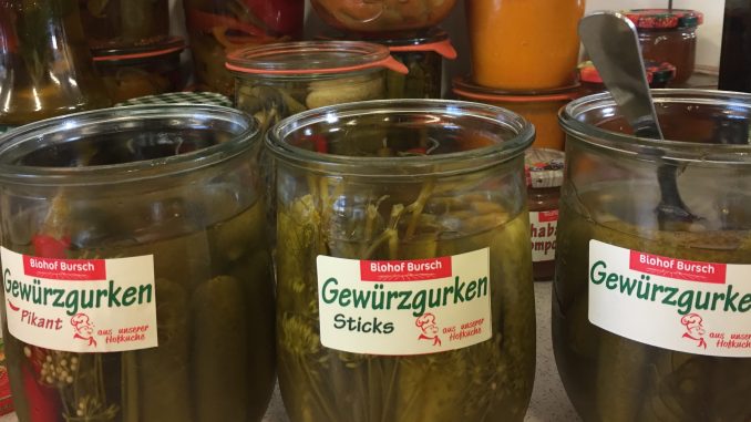 Gewürzgurken