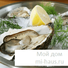 В чем польза устриц для здоровья?