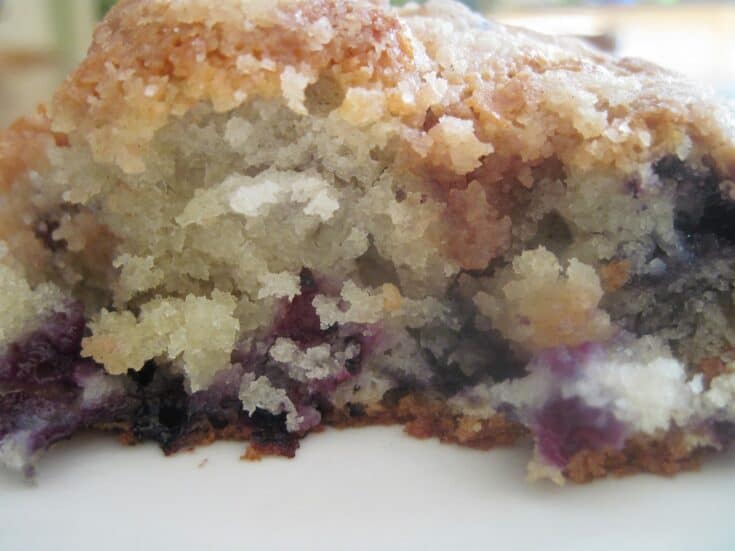 Blueberry Crumb Coffee Cake
