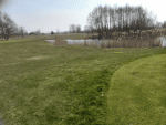 GC Kurpfalz - Kurpfalz (4).png