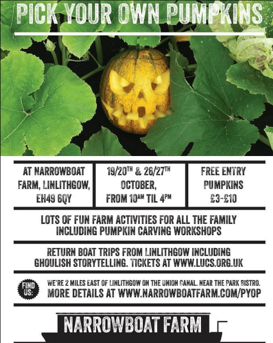 Pick your own pumpkins poster