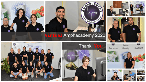 A collage of pictures taken during the virtual Amphacademy