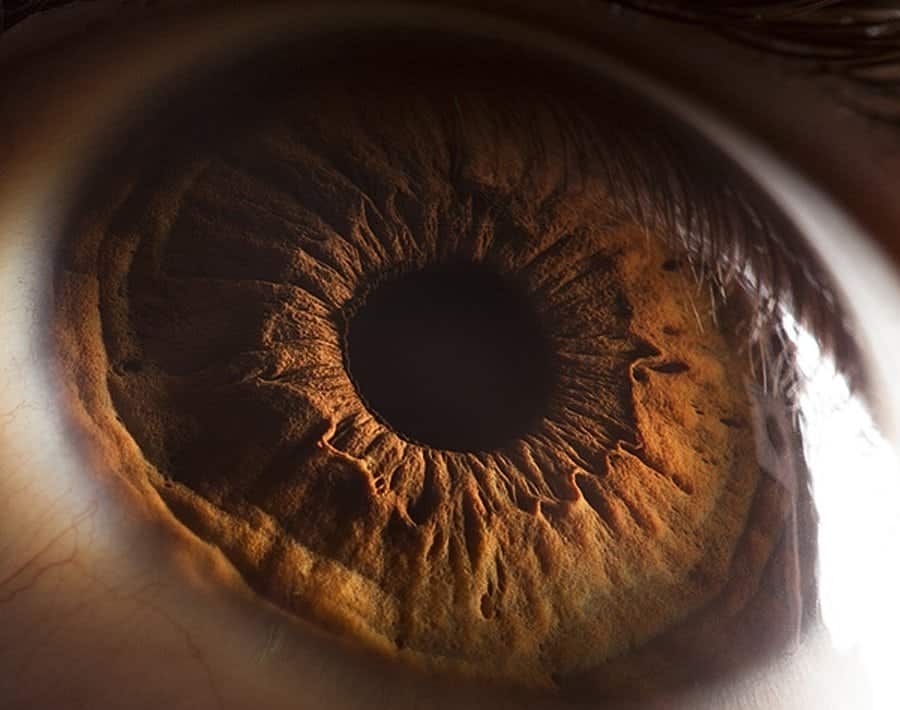 LA CIENCIA Y LA RELIGIÓN JUNTOS PARA REVELAR MISTERIOS DEL UNIVERSO