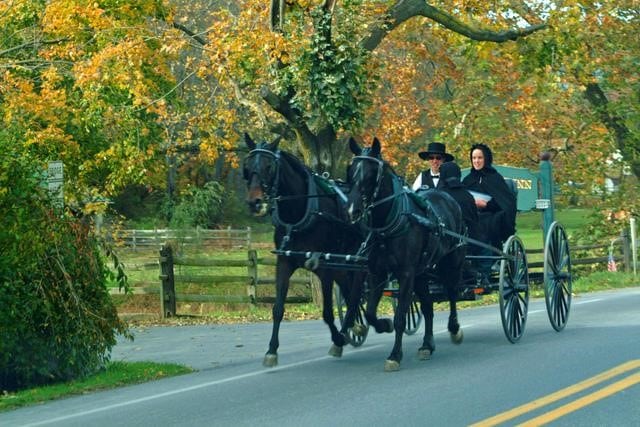 LOS AMISH Y LA CULTURA DEL PASADO: CUANDO EL TIEMPO SE DETIENE